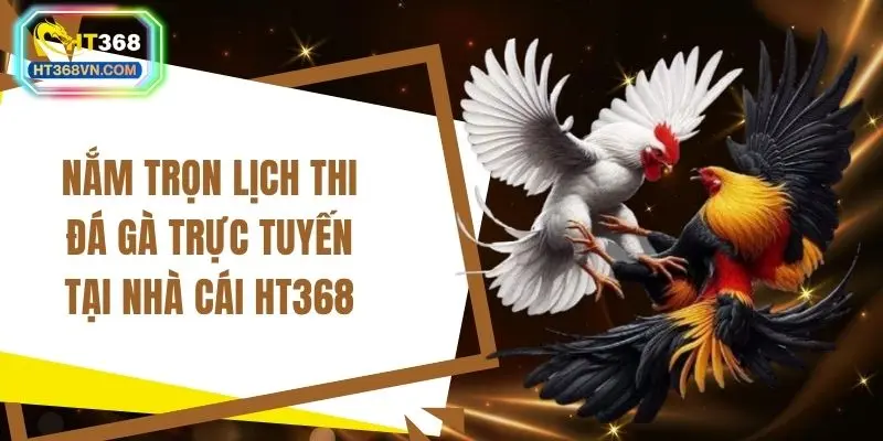 Nắm trọn lịch thi đá gà trực tuyến tại nhà cái HT368
