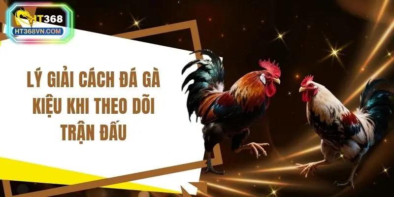 Lý giải cách đá gà kiệu khi theo dõi trận đấu