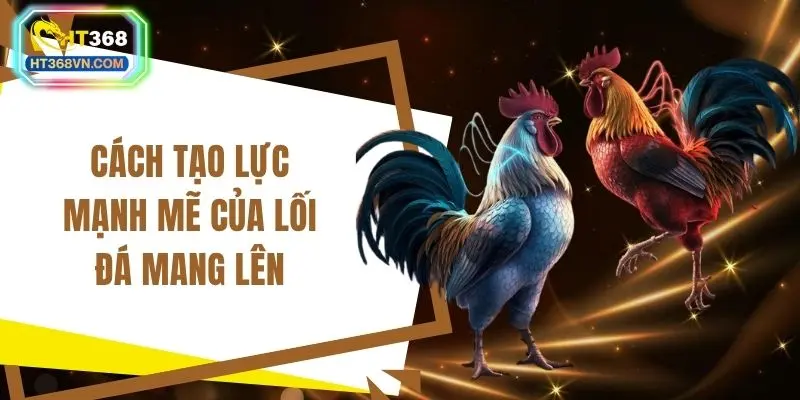 Cách tạo lực mạnh mẽ của lối đá mang lên