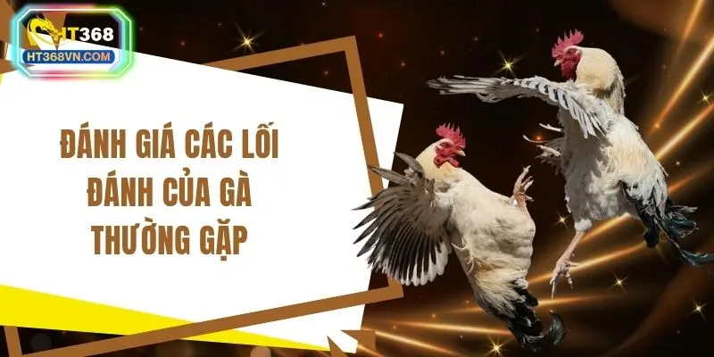 Đánh giá các lối đánh của gà thường gặp
