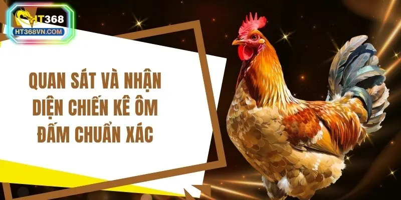 Quan sát và nhận diện chiến kê ôm đấm chuẩn xác