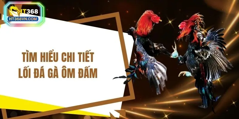 Tìm hiểu chi tiết lối đá gà ôm đấm