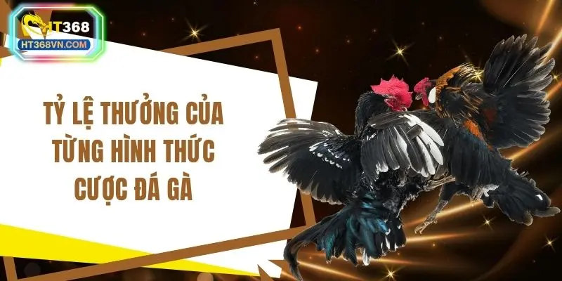 Tỷ lệ thưởng của từng hình thức cược đá gà