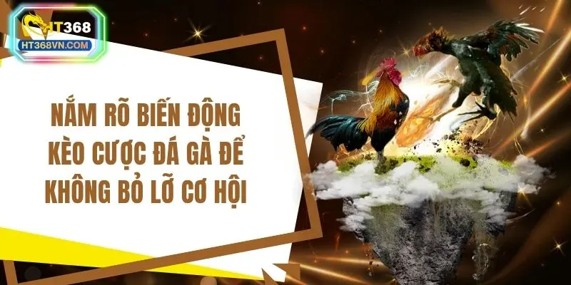 Nắm rõ biến động kèo cược đá gà để không bỏ lỡ cơ hội