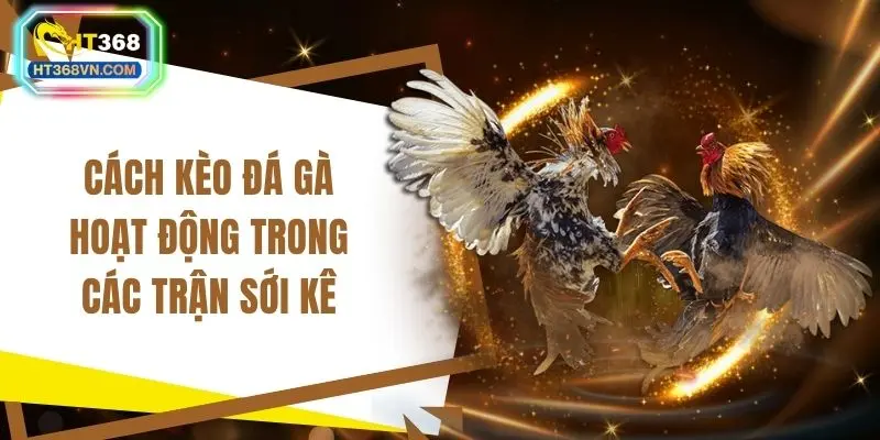 Cách kèo đá gà hoạt động trong các trận sới kê