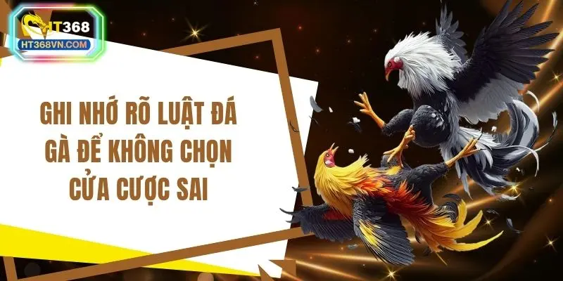 Ghi nhớ rõ luật đá gà để không chọn cửa cược sai