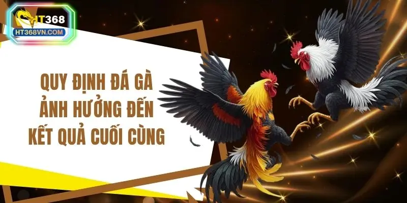 Quy định đá gà ảnh hưởng đến kết quả cuối cùng